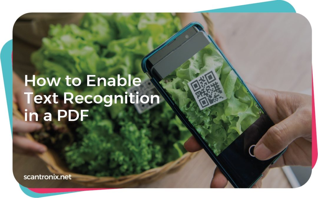 How to Enable Text Recognition in a PDF