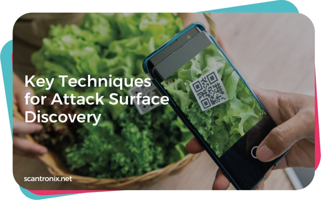 Key Techniques for Attack Surface Discovery